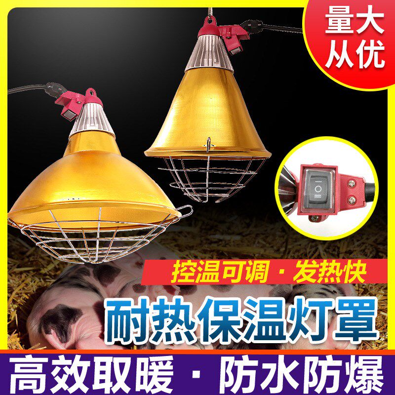 养殖场保温灯罩猪羊用取暖灯罩防水调温加热灯保温灯罩畜牧设备