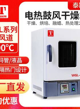 天津泰斯特WGLL-30BE/45BE/65BE/125BE/230BE/625BE鼓风干燥箱