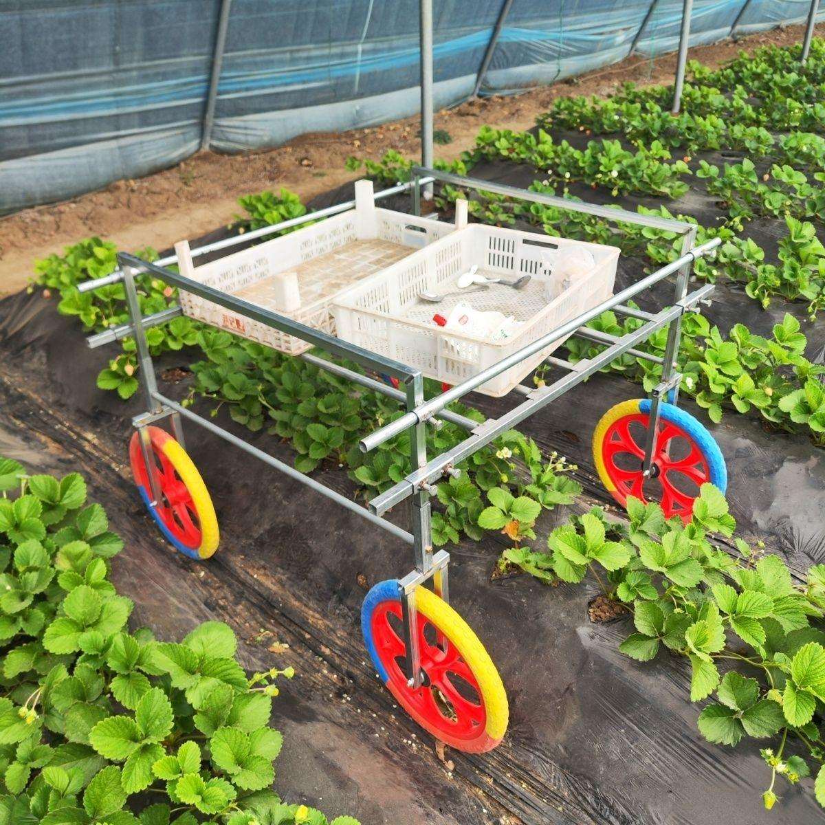 大棚采摘蔬菜草莓运输新款瓜果家用农用推拉手推车运输车工具车