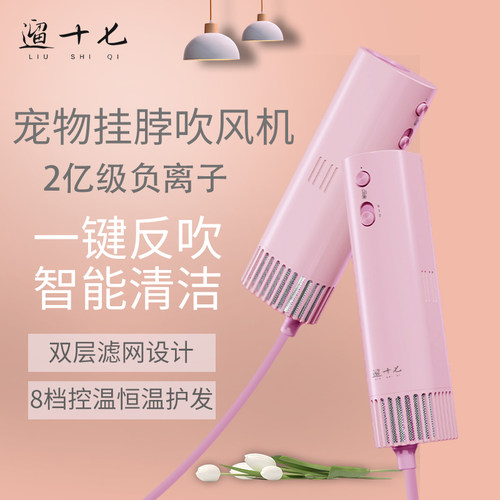 【咨询有优惠】遛十七吹风机