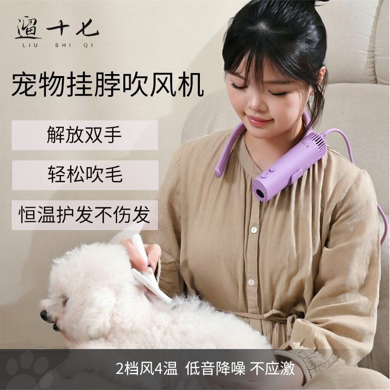 【关注店铺有优惠】遛十七吹风机