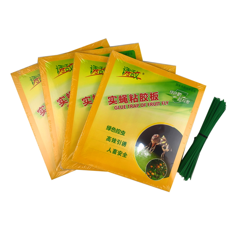 面粘虫板针蜂粘胶板农用黄板果蝇贴引诱剂桔小实蝇果实蝇诱粘