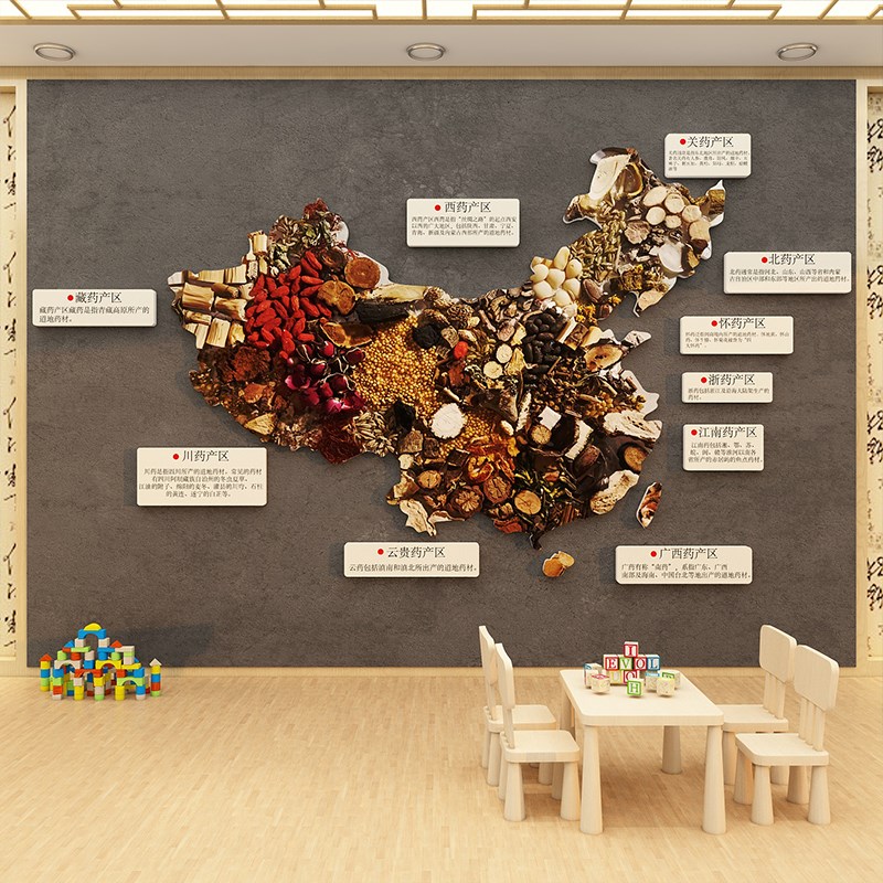 中医阁药材地图养生馆软装饰品挂画形象墙面装饰背景文化氛围布置