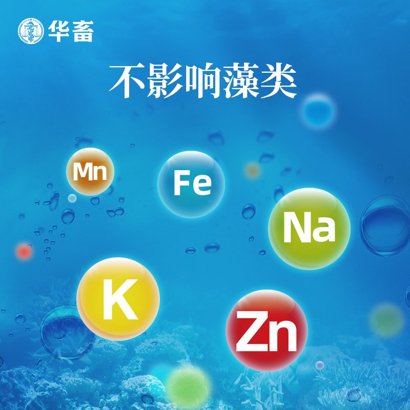 华畜增氧颗粒水产养殖鱼塘增氧片粒粒氧虾蟹塘垂钓鱼打窝过碳酸钠