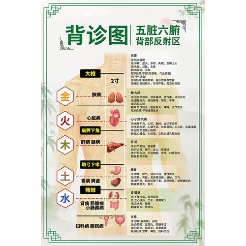 背诊图墙纸中医推拿拔罐按摩养生诊所五脏六腑背部反射区壁画