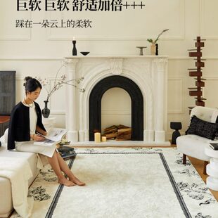 蜡笔派花辰悦汐地毯现代简约高级感客厅沙发毯氛围感茶几床边毯