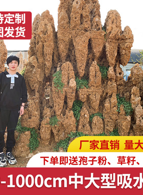 客厅大型天然吸水石假山盆景庭院鱼池上水石流水装饰造景