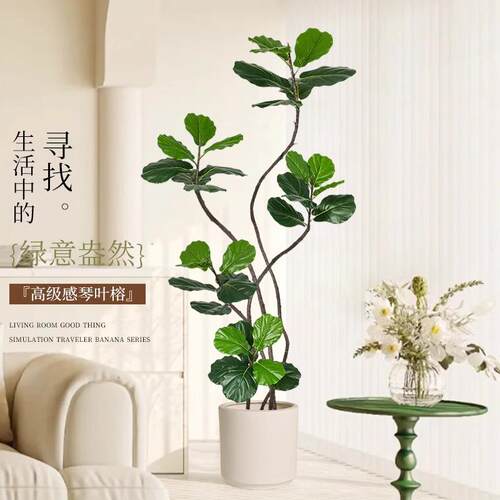 中古风仿真植物琴叶榕落地盆栽室内大型仿生绿植摆件客厅轻奢装饰