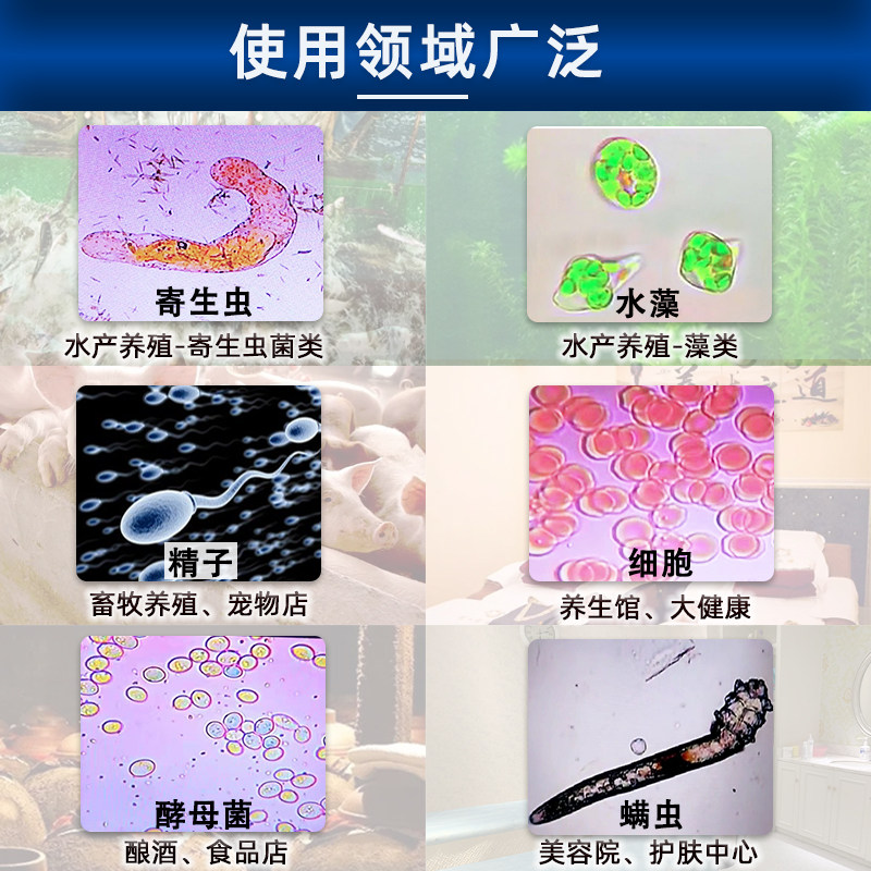 倍水产养殖显微镜看鱼病藻类虾猪精子兽用检测细菌细胞生物观察