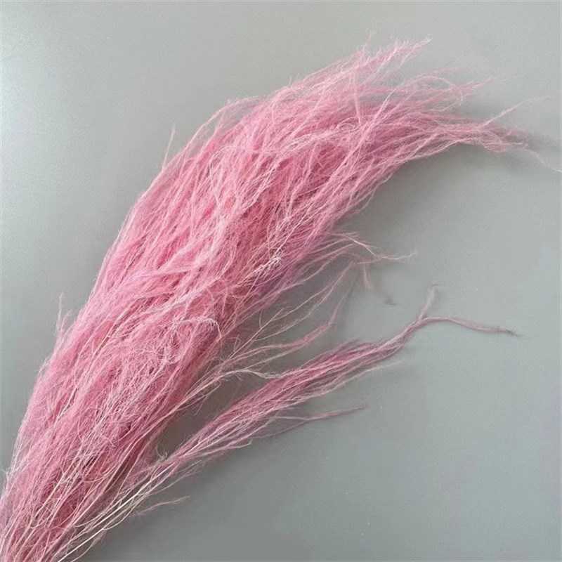 龙须草永生花梦幻羽毛草干花婚庆装饰软装花艺悬挂花材吊米文竹真