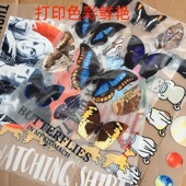 水性白彩墨涂料烫画墨水 烫画膜墨水 白墨烫画打印墨水 柯式