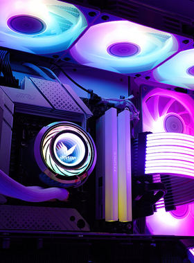 LI瓦尔基里   L 白色IU水冷式散热器