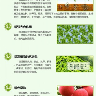 杨凌全中唐老师果园数据化管理生长平衡液