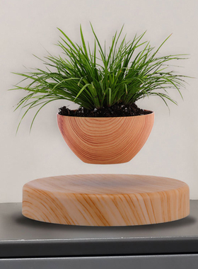 反重力自转田园风磁悬浮盆办公室家具装饰创意