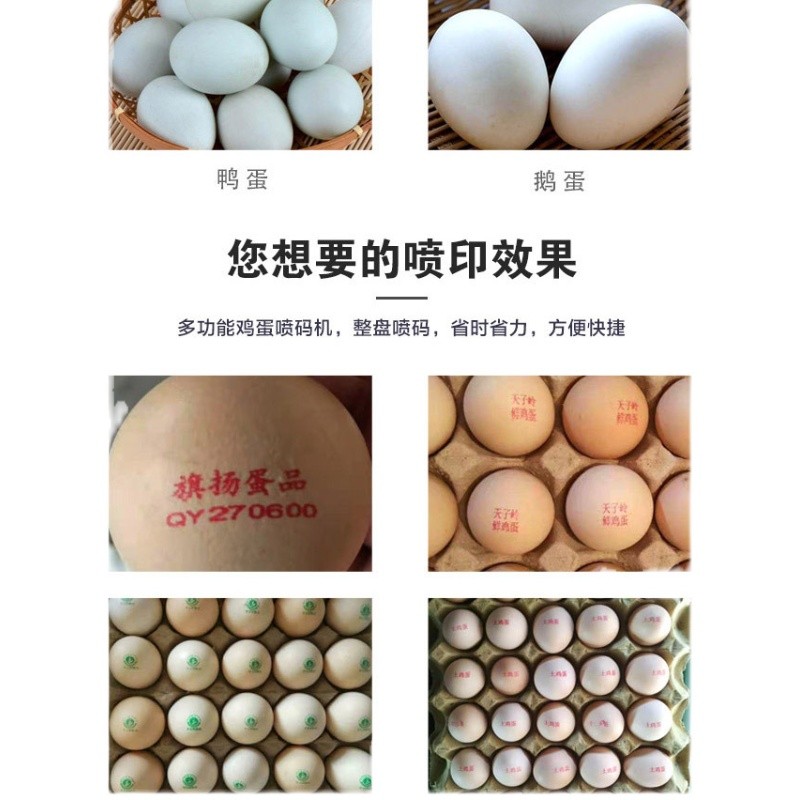 鸡蛋日期商标打码打码器生产日期鸭蛋喷字禽蛋打字
