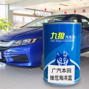 九狼汽车漆本成品田改色车烤飞塔夫绸白星光银度海洋蓝锋瑞丽红范