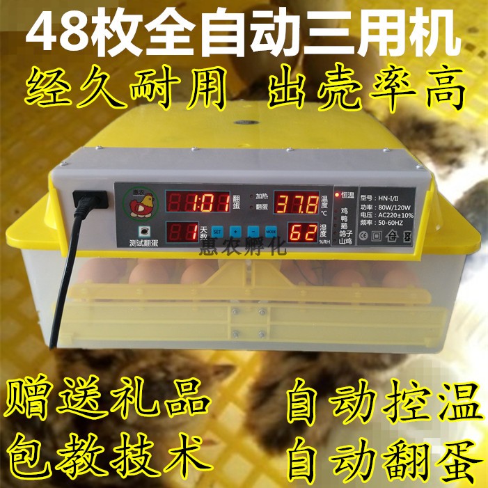 小型孵化器抱蛋全自动 出壳小鸡苗抱化