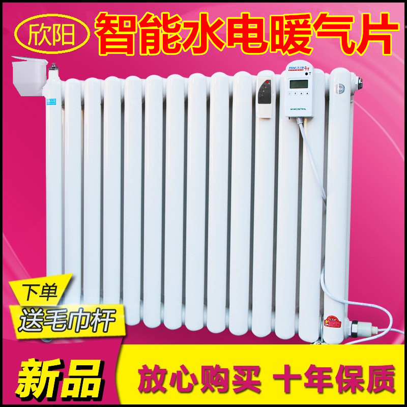 加水电暖气片 注水式取暖器 智能加热棒 加水电暖器欣阳