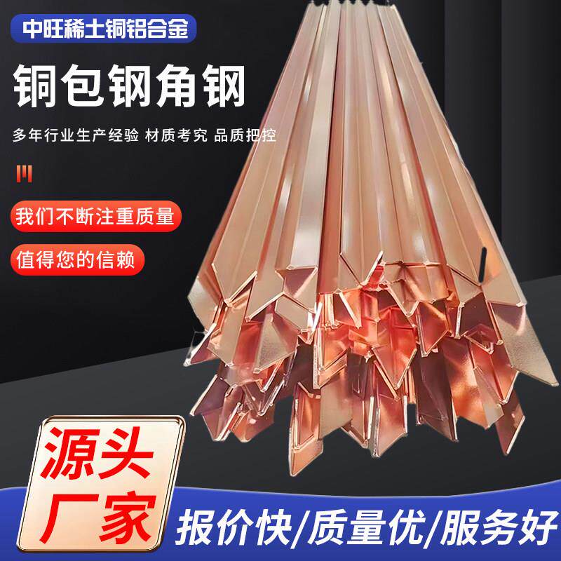 镀铜扁钢圆钢铜包钢角钢铜覆钢绞线防雷接地极角钢垂直避雷扁铁
