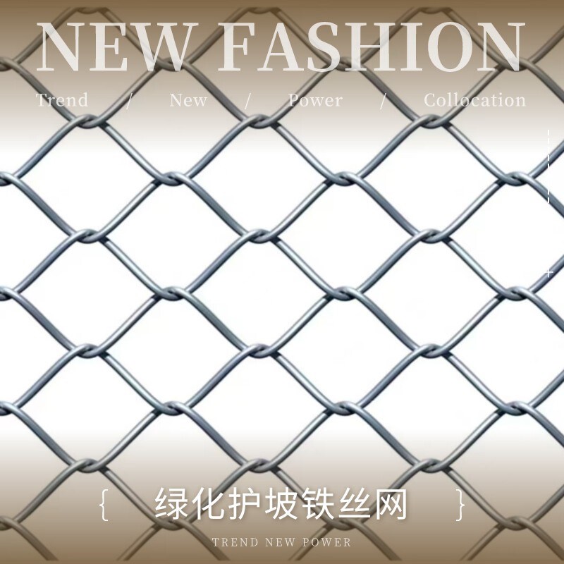 喷浆铁丝网客土喷播植草镀锌菱形钢网绿化喷锚挂网山体护坡固土网