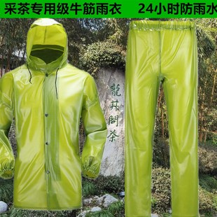 牛筋加厚加大分体采茶雨衣雨裤装男女通用种茶摘茶茶农专用雨衣