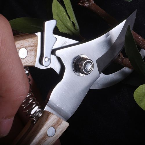 果树修枝剪刀装家用园艺剪刀回弹修枝剪树枝剪刀花艺剪子