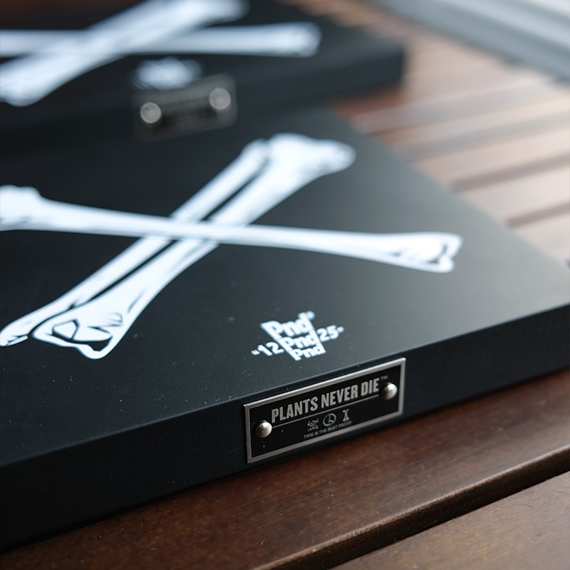 pnd块根植物骨头图案黑色展示底座潮流垫板花盆景多肉木