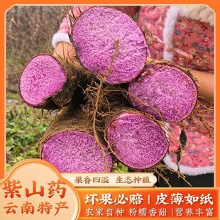[99%紫】新鲜当季云南紫人参山药农家蔬菜紫色山药辅食非铁棍山药