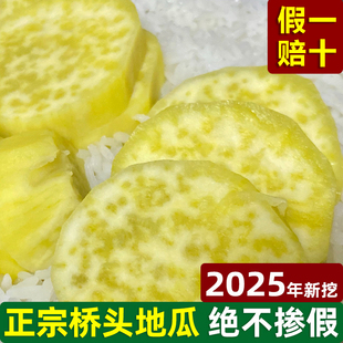 【产地直发】正宗海南澄迈富硒桥头地瓜新鲜农家沙地板栗红薯现挖