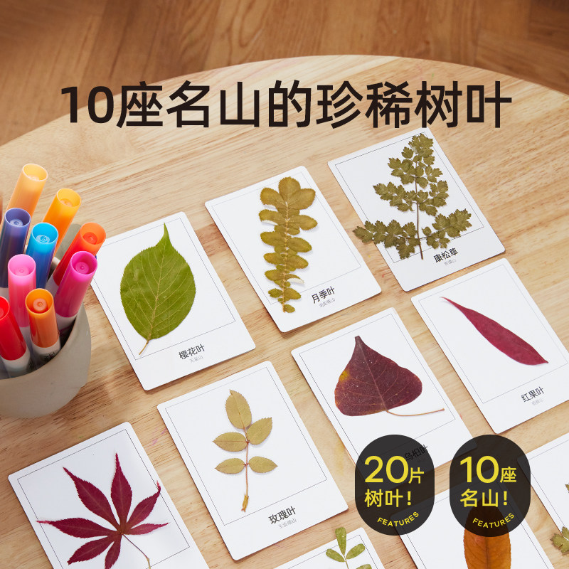 美乐童年逛逛叶市儿童树叶黏画手工制作材料包幼儿园树叶画