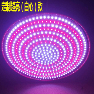 生鲜灯猪肉灯灯冷鲜肉超市灯熟食市场灯吊灯红光加亮特红圈红