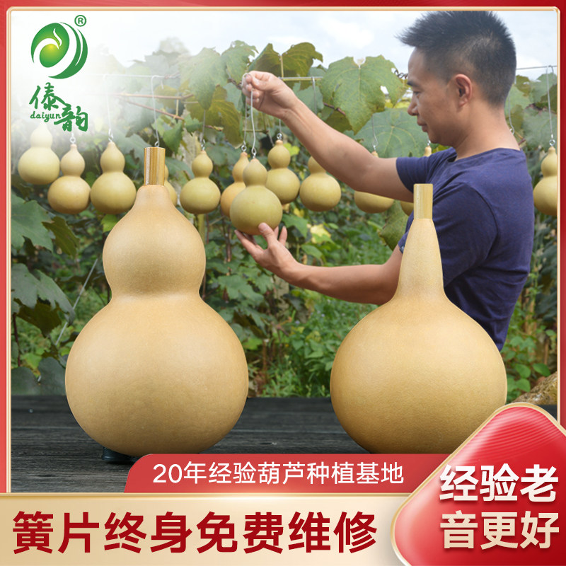 傣韵演奏型九孔葫芦丝 宽音域 金竹C调 降调F调 超七孔 八孔