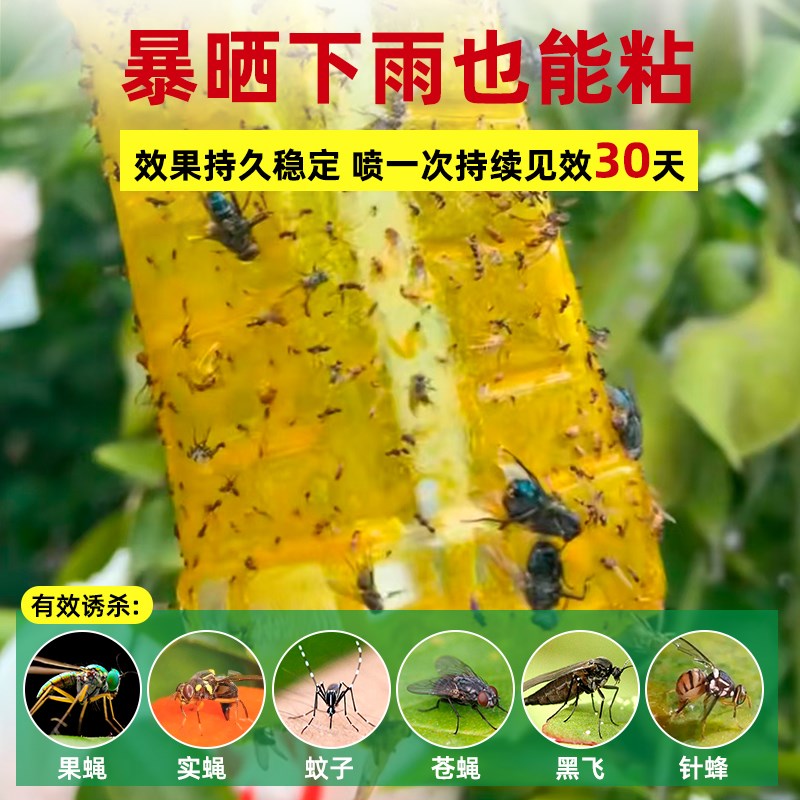 瓜果实蝇诱粘剂果绳诱捕器果树菜园大棚杀虫剂除虫剂灭针蜂引诱剂