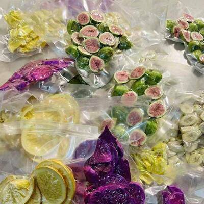 实温验糖果原位冻干机 durian榴莲块即食型营养干粥低HSS冷冻燥机