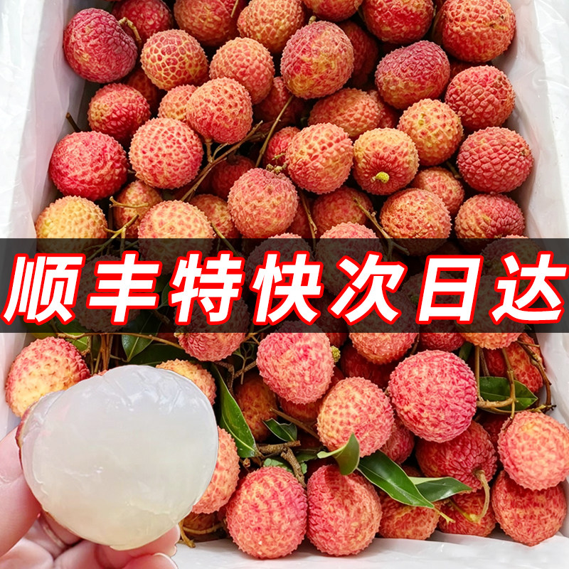 次日达新鲜荔枝现摘当天发