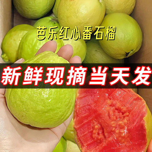 红心番石榴新鲜芭乐水果包邮