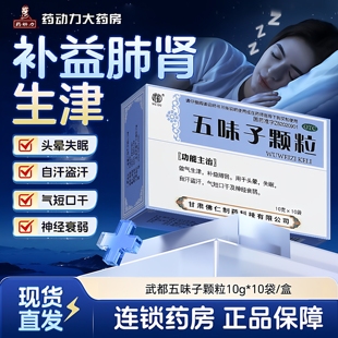 武都五味子颗粒敛气生津用于头晕失眠自汗盗汗中成药冲剂补益肺LL