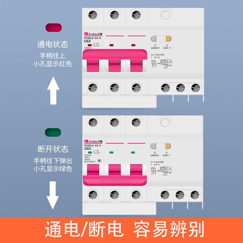 飞雕空气开关带漏电保护器家用断路器总开关电闸1P2P16A32A63A