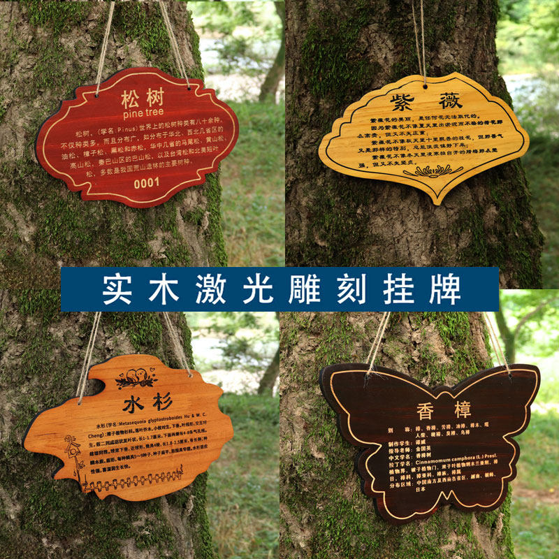 定制实木树牌挂牌树木认养牌园林绿化创意标识牌树名牌简介牌