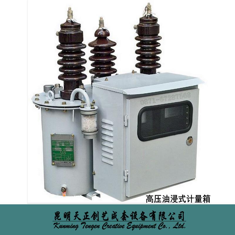 生产销售计量箱JLSZV-10KV预付费式高压计量箱油浸式组合体式