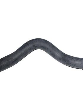 电商外贸适用嘉年华131.0T水箱上水管C1B18B274AC