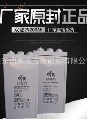 双登2V300Ah蓄电池GFM-300铅酸免维护基站机房铁塔太阳能发电厂