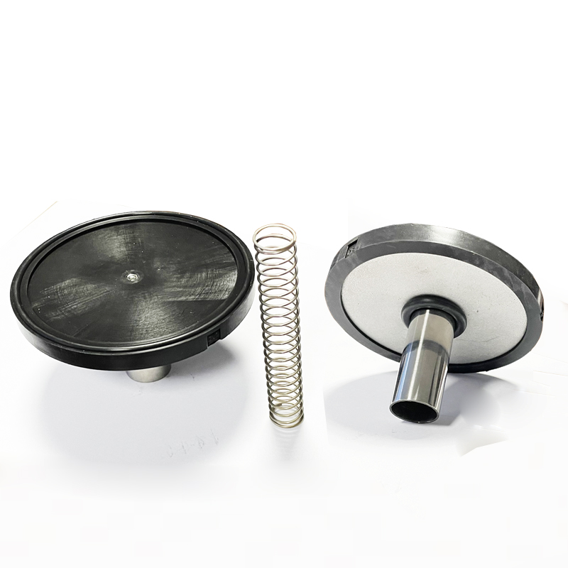 莱宝真空泵逆止V100BVV00V00B维修Leybold进气