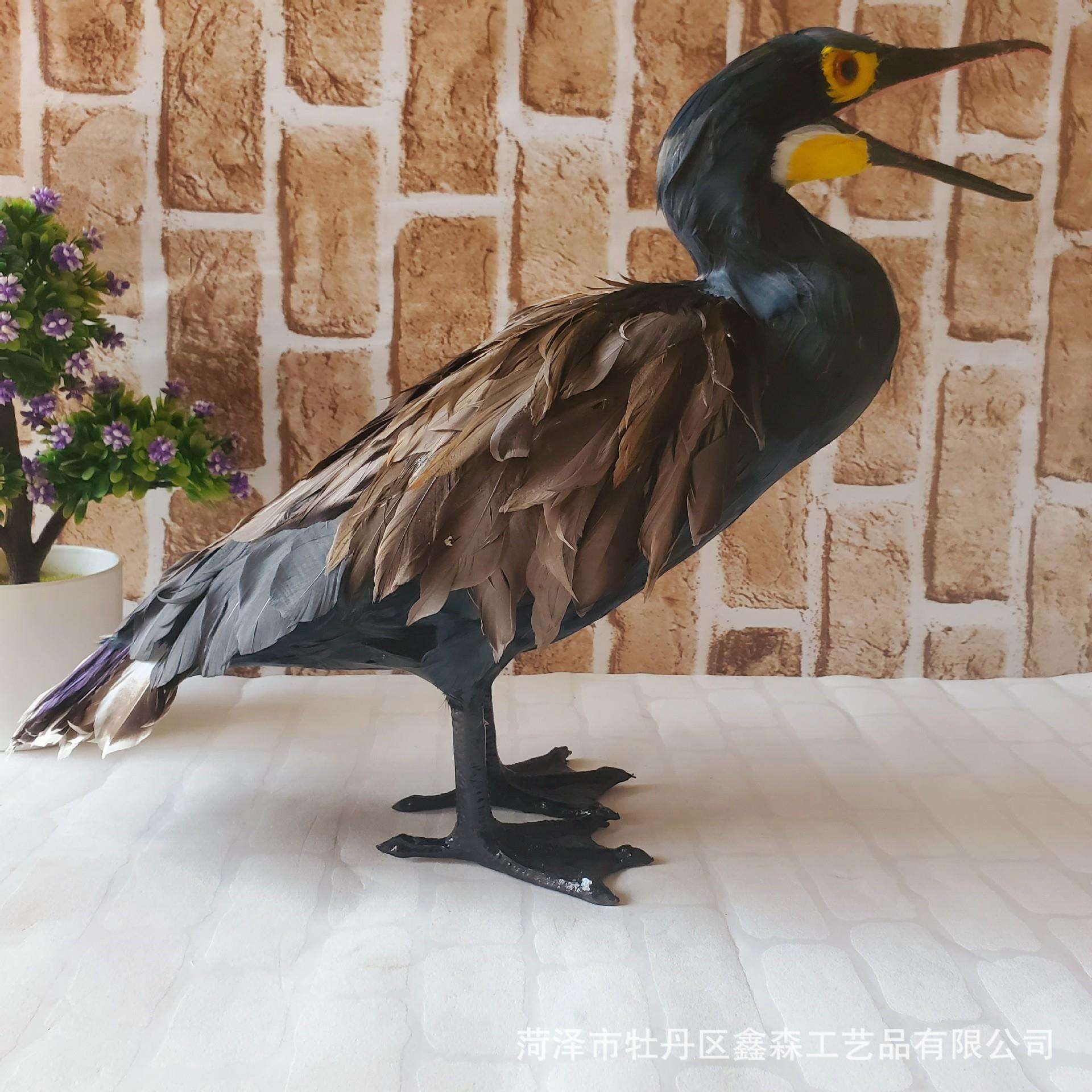 【新品】仿真鸟类鸬鹚真羽毛工艺品装饰摆件舞台展示道具主题公园