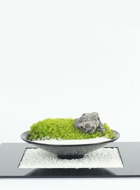 现代新侘寂风会所永生苔艺样板房间软装饰品微景观