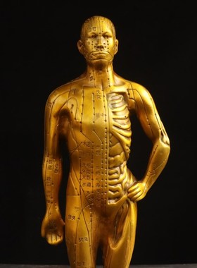 黄铜针灸铜人摆件中医经络穴位模型人体解剖结构模型针灸铜人摆设