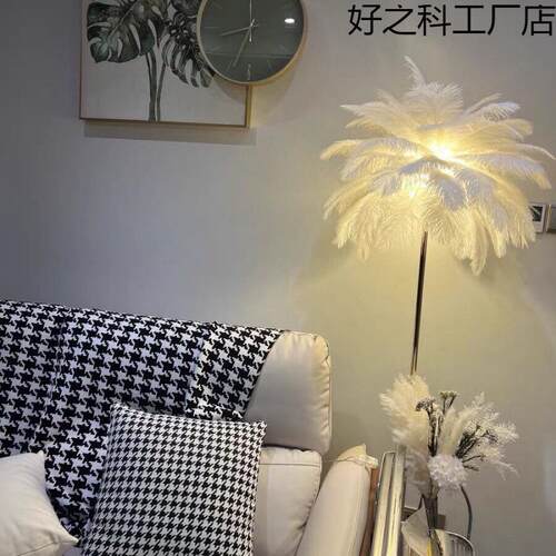 鸵鸟羽毛客厅沙发卧室落地灯鸵鸟毛北欧茶几置物架立式灯