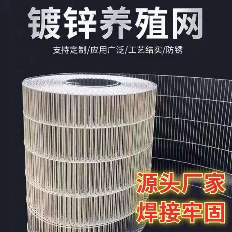 镀锌鸟网鹌鹑网铁丝网钢丝网养殖网养殖场养鸡铁丝钢丝养殖围网