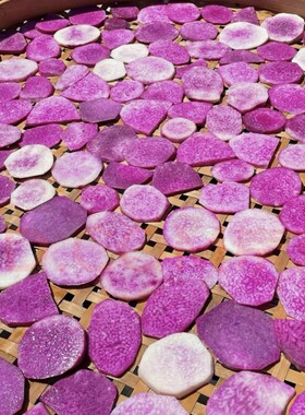 日晒古天根干天根梨汤晒足5天古法炮制麦麸籼米工艺煲汤煮粥养生