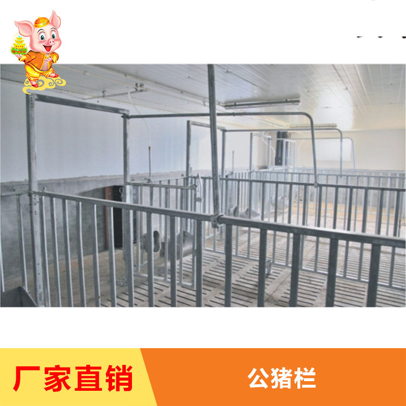 厂家直销种公猪舍公猪栏